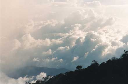 Mt Kinabalu: Mt Kinabalu -  - © William Mackesy