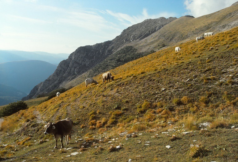 Italy Sibillini, Sibillini, , Walkopedia