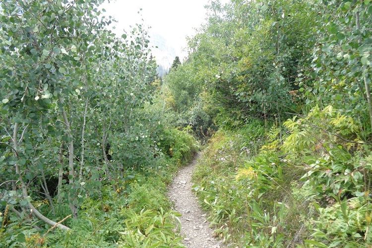 USA Western, Maroon Bells, The trail to Willow Pass, Walkopedia