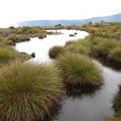 Australia Tasmania, Tasmania, Ridgetop Tarns, Walkopedia