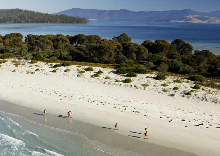 Australia Tasmania, Maria Island, Maria Island - Beach Walkers, Walkopedia