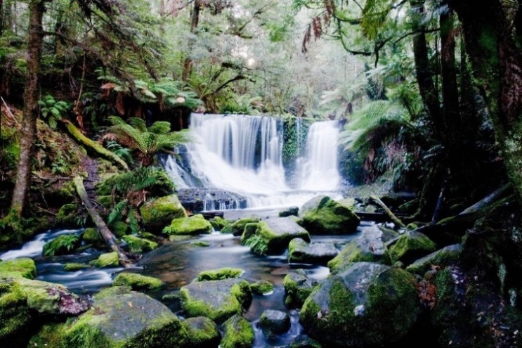 Australia Tasmania, Mt Field National Park, Lady Barron Falls , Walkopedia