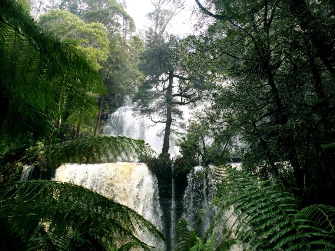 Australia Tasmania, Mt Field National Park, Russell Falls after rainfall , Walkopedia