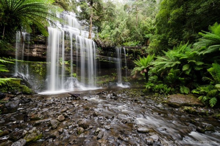 Australia Tasmania, Mt Field National Park, Russell Falls , Walkopedia