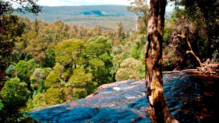 Australia Tasmania, Mt Field National Park, View across Mt. Field National Park , Walkopedia