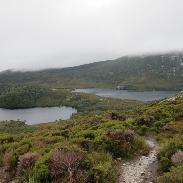 Cradle Mountain - Dove Lake on right - ©Copyright William Mackesy Cradle Mountain Area: Cradle Mountain - Dove Lake on right - ©Copyright William Mackesy