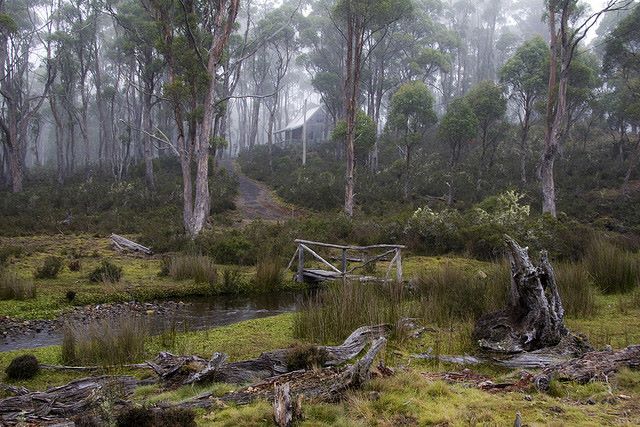 Australia Tasmania, Cradle Mountain Area, Cradle Mountain - on the path to Cradle Mt, Walkopedia