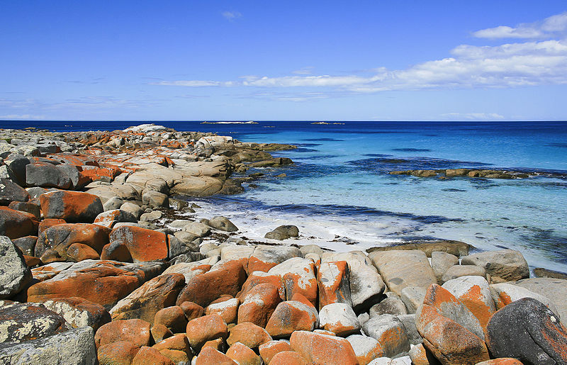 Australia Tasmania, Bay of Fires, Bay of Fires, Walkopedia