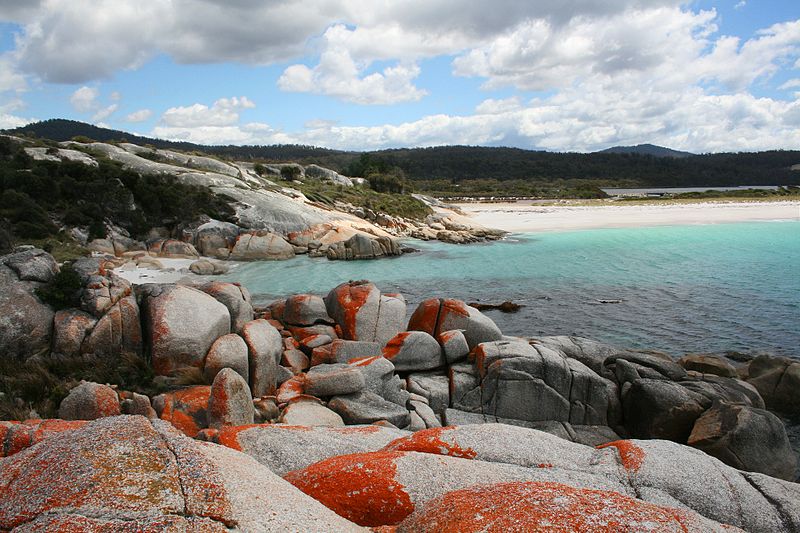 Bay of Fires - © wiki user Diego Delso... Bay of Fires: Bay of Fires - © wiki user Diego Delso...