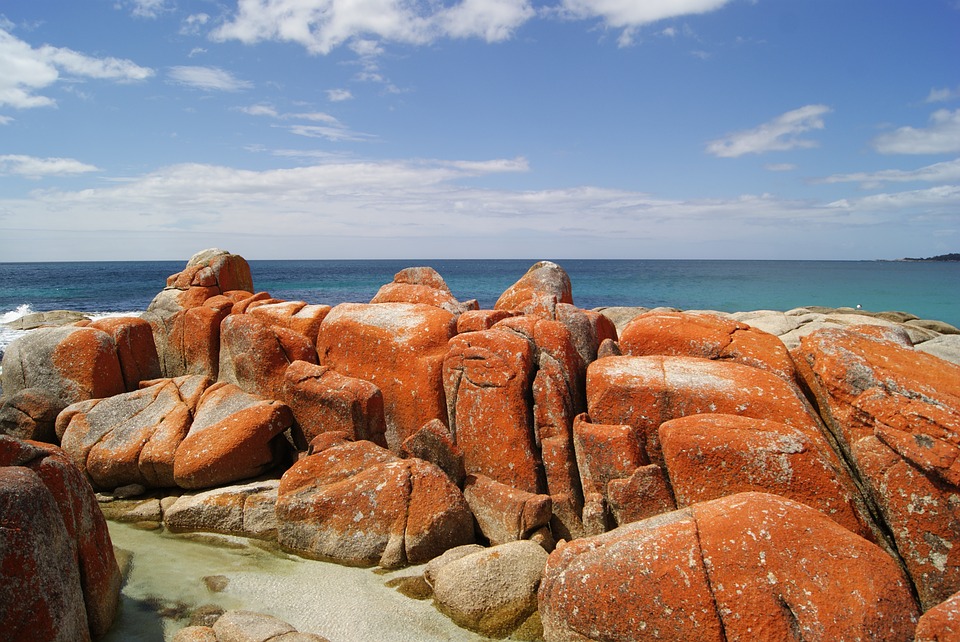 Australia Tasmania, Bay of Fires, Bay of Fires, Walkopedia