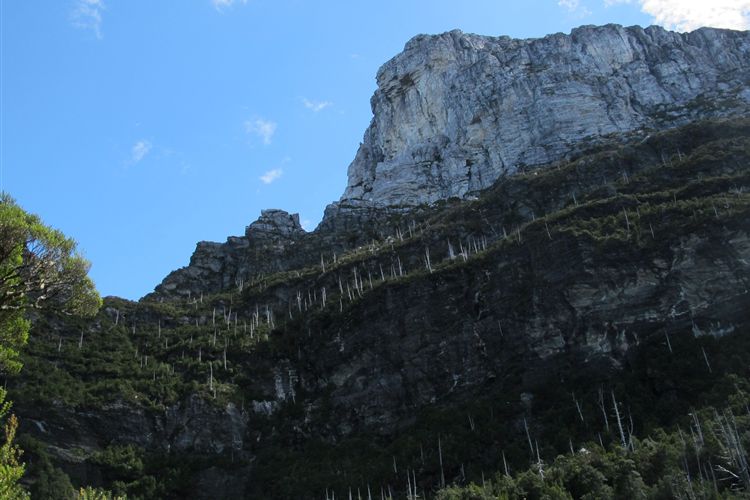 Australia Tasmania, Frenchman's Cap, , Walkopedia