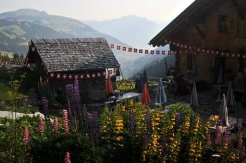 Switzerland Alps, Dents du Midi, , Walkopedia