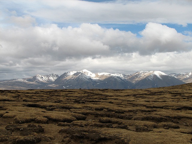 China Tibet, Tsurphu to Yangpachen  , Tsurphu to Yangpachen - plateau on the trek, Walkopedia