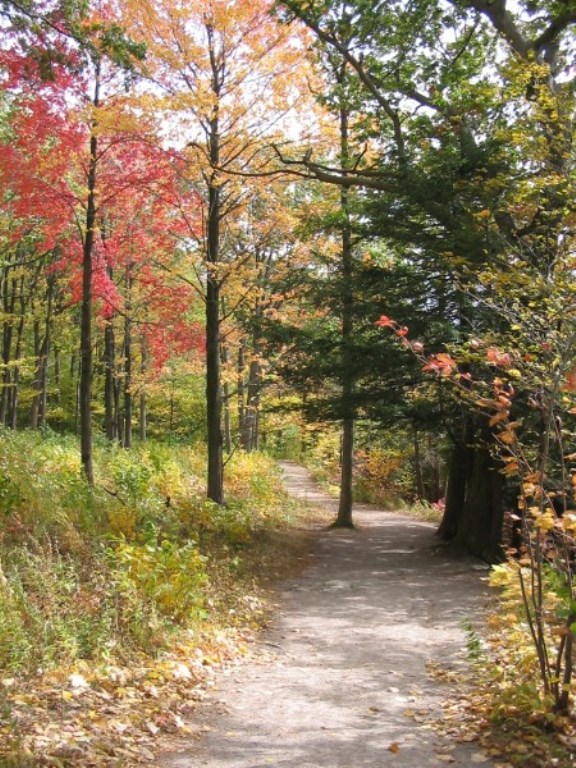 Canada Eastern Ontario, Bruce Trail, , Walkopedia