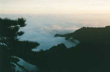 Huangshan - - © William Mackesy Huangshan - - © William Mackesy