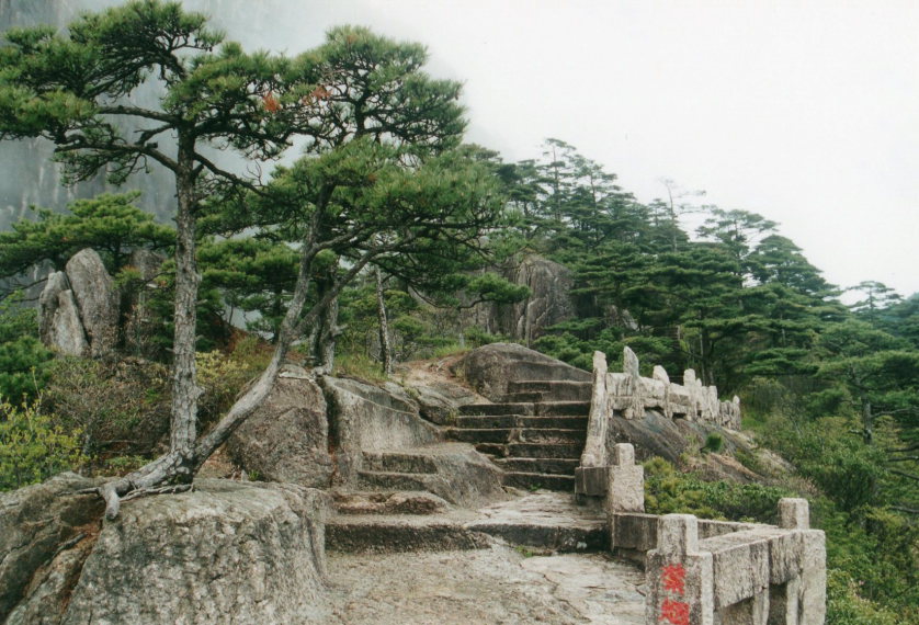 Huangshan - - ©William Mackesy