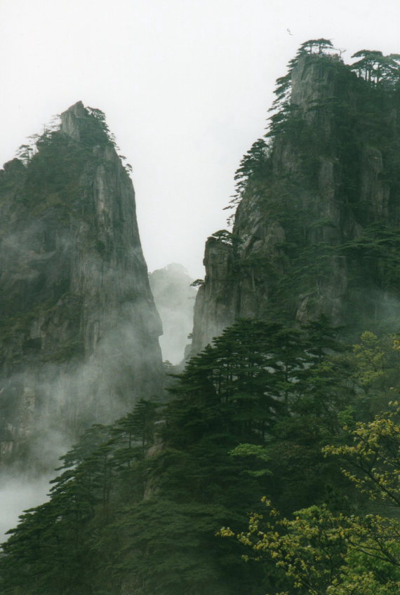 Huangshan - - ©William Mackesy Huangshan - - ©William Mackesy