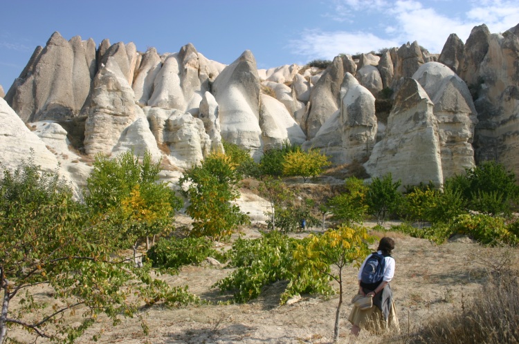 Turkey Central Anatolia Cappadocia, Zemi Valley, Scrabbly vinyard, Walkopedia