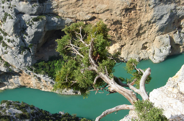 France Provence, GR4 (Verdon Gorge), Verdon Gorge, Walkopedia