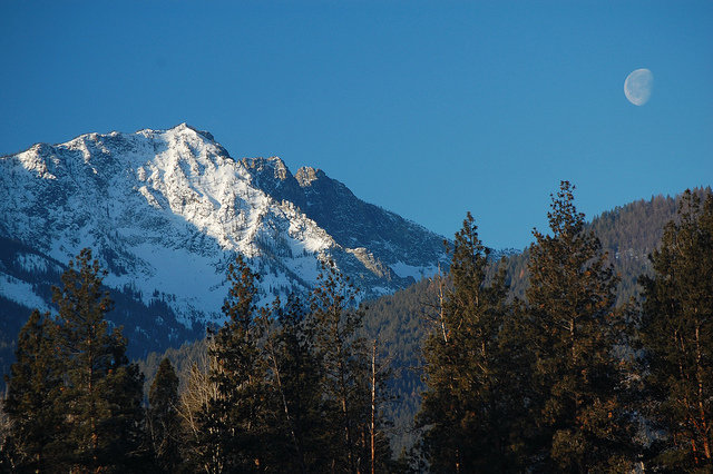 USA Western: Bitterroot Mts, Bitterroot Mountains, Bitterroot Mountains - near Florence, Montana, Walkopedia