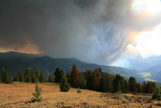 USA Western: Bitterroot Mts, Bitterroot Mountains, Bitterroot Mountains - Forest fires, Walkopedia