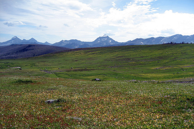 USA Western: Glacier NP, North Circle, North Circle - Meadow above Fifty Mountain campground, Walkopedia