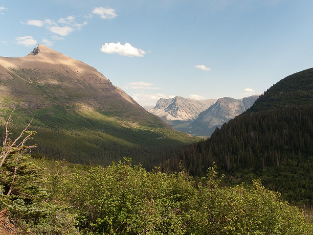 Iceberg Lake Trail - On the trail - ©Copyright Flickr User Matt Kowal Iceberg Lake Trail: Iceberg Lake Trail - On the trail - ©Copyright Flickr User Matt Kowal