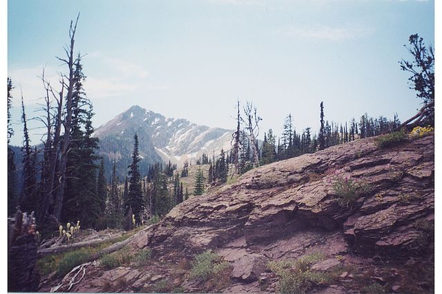 USA Western: Bob Marshall Wilderness, Bob Marshall Wilderness, The Bob Marshall Wilderness - Carmine Peak in the Swan range, Walkopedia