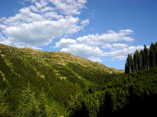 USA Western: Bob Marshall Wilderness, Bob Marshall Wilderness, The Bob Marshall Wilderness - the Swam range on the western edge of the Bob, Walkopedia