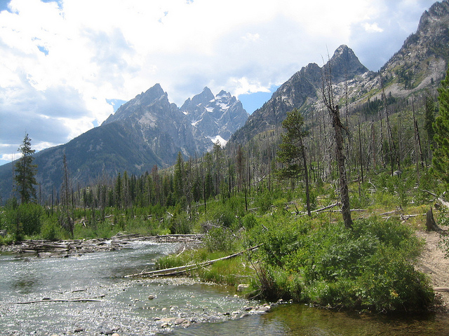 Grand Teton National Park - ©Copyright Flickr User Iburiedpaul... Grand Teton National Park: Grand Teton National Park - ©Copyright Flickr User Iburiedpaul...