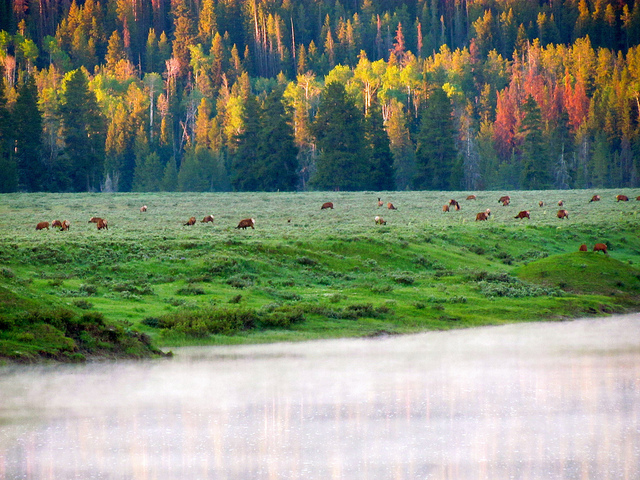 USA Western: Grand Teton NP, Grand Teton National Park, Grand Teton National Park, Walkopedia