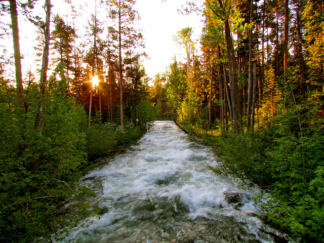 USA Western: Grand Teton NP, Grand Teton National Park, Grand Teton National Park, Walkopedia