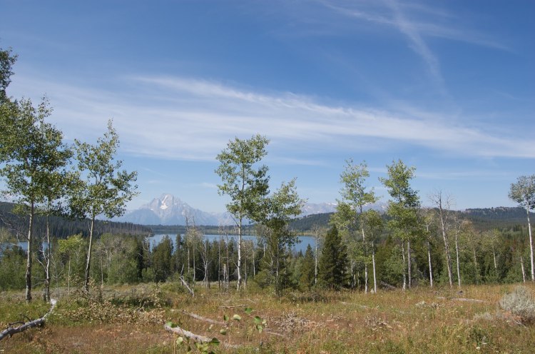 USA Western: Grand Teton NP, Two Ocean Trail/Emma Matilda Lake, Two Ocean Lake Trail - Emma Matilda Lake and the Tetons, Walkopedia