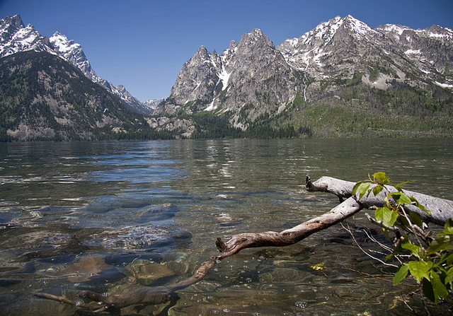 USA Western: Grand Teton NP, Jenny Lake to Cascade Canyon, Grand Teton National Park - Jenny Lake, Walkopedia