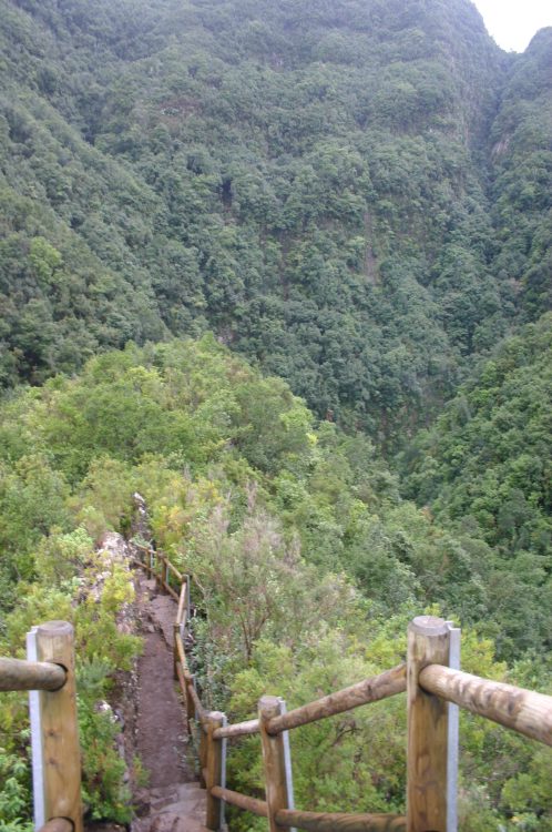 Spain Canary Islands: La Palma, Los Tilos, Los Tilos - Sheer ridge in lower gorge, Walkopedia