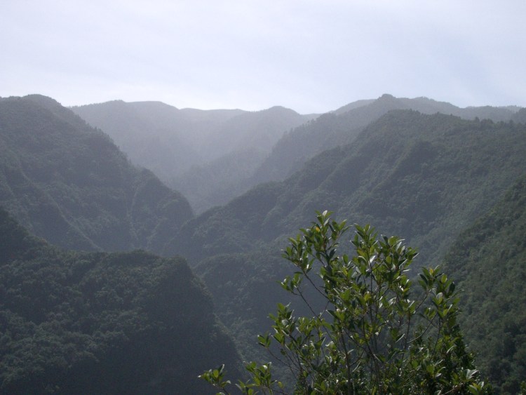 Spain Canary Islands: La Palma, Los Tilos, Los Tilos - © From above Los Tilos, Walkopedia