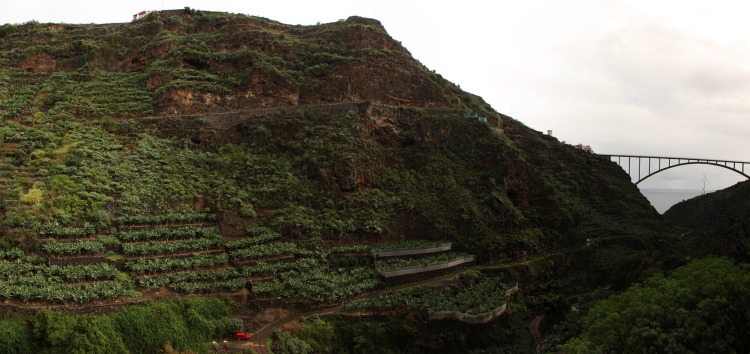 Spain Canary Islands: La Palma, Los Tilos, Los Tilos - Puente de Los Tilos, Walkopedia