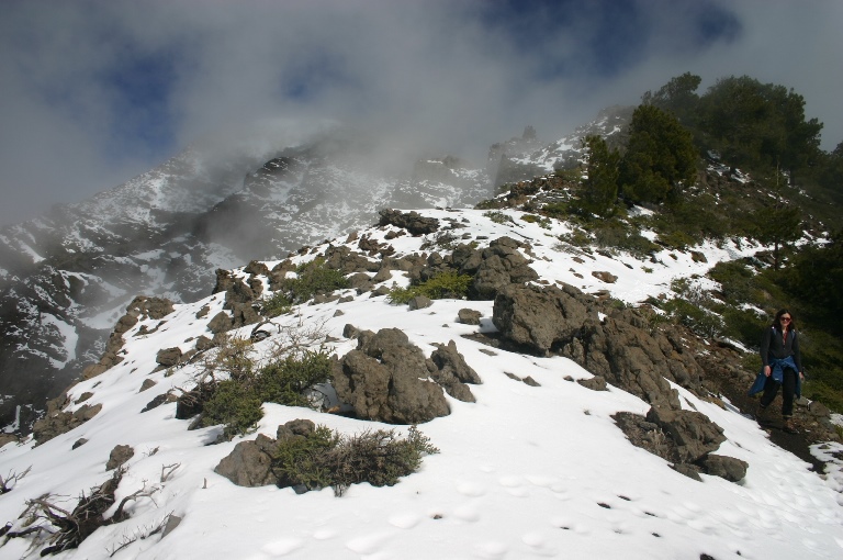 Spain Canary Islands: La Palma, Ruta de la Cresteria, , Walkopedia