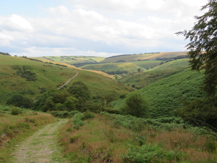 United Kingdom England South-west, Two Moors Way, Above Barle valley south of Simonsbath, Walkopedia