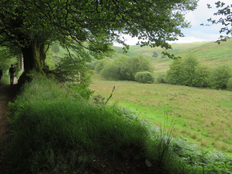 United Kingdom England South-west, Two Moors Way, Barle valley south of Simonsbath, Walkopedia