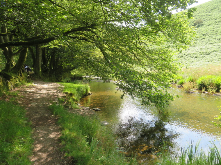 United Kingdom England South-west, Two Moors Way, Barle valley south of Simonsbath , Walkopedia