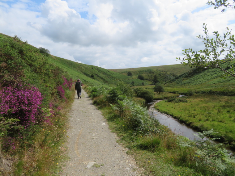 United Kingdom England South-west, Two Moors Way, Barle valley south of Simonsbath, Walkopedia