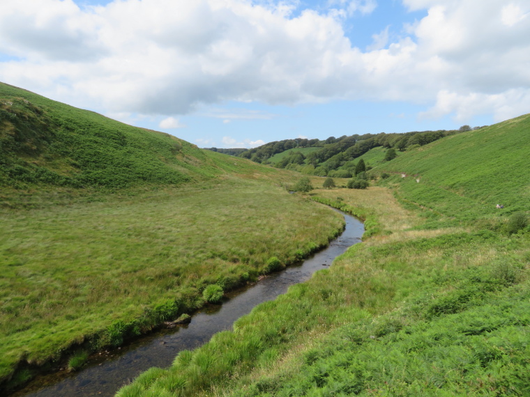 United Kingdom England South-west, Two Moors Way, Barle valley south of Simonsbath, Walkopedia