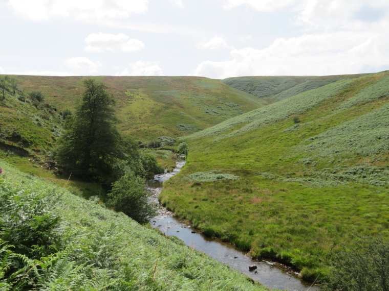 United Kingdom England South-west, Two Moors Way, Barle valley south of Simonsbath , Walkopedia