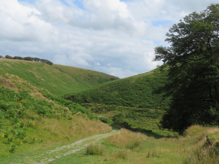 United Kingdom England South-west, Two Moors Way, Barle valley south of Simonsbath , Walkopedia