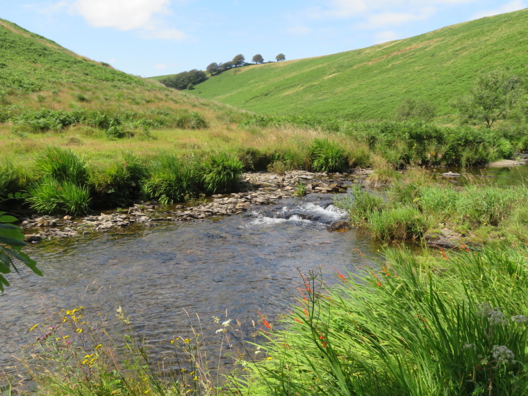 United Kingdom England South-west, Two Moors Way, Barle valley south of Simonsbath , Walkopedia