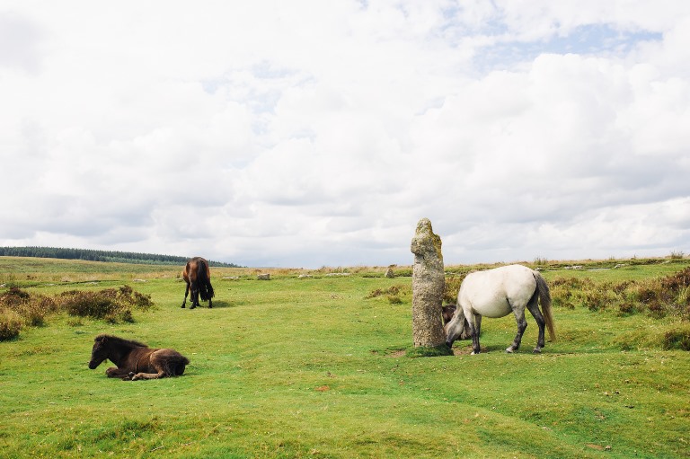 United Kingdom England South-west, Two Moors Way, From Holne to around Chagford in Dartmoor, Exmoor, Walkopedia