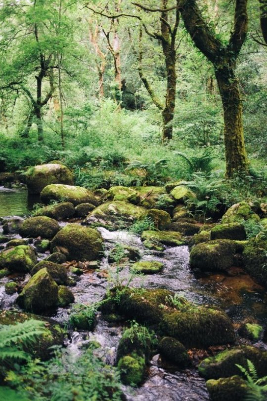 United Kingdom England South-west, Two Moors Way, From Holne to around Chagford in Dartmoor, Exmoor, Walkopedia