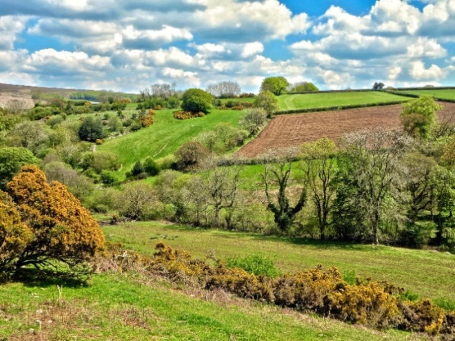 United Kingdom England South-west, Two Moors Way, , Walkopedia