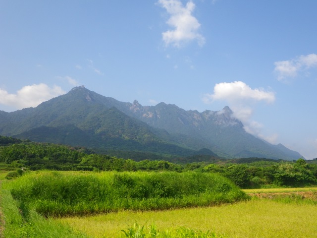 Japan Nansei-shoto (SW Islands): Yaku-shima, Mt. Mocchomudake, Mt. Mocchomudake, Walkopedia